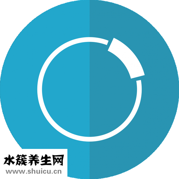叶酸基因检测
