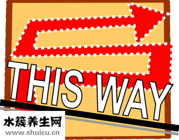 叶酸基因检测