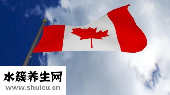 什么是辟邪的