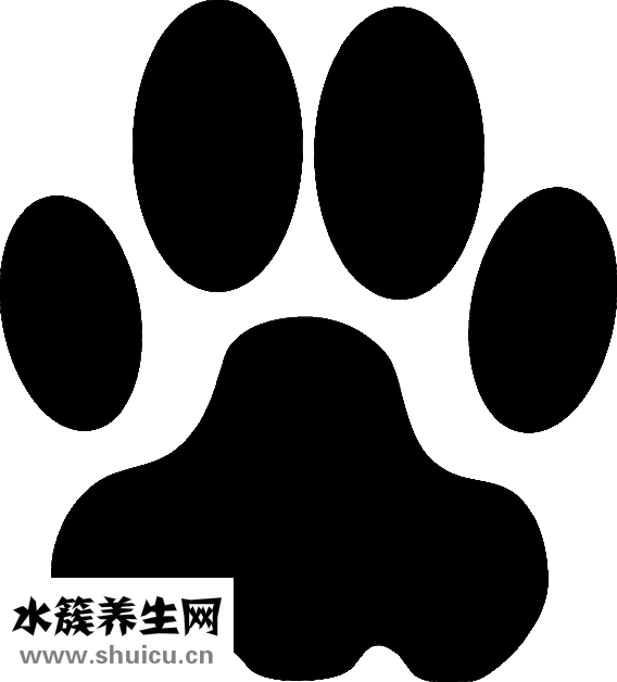 晚上护肤的正确步骤
