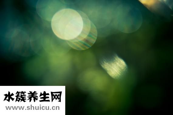 为什么头顶会痛