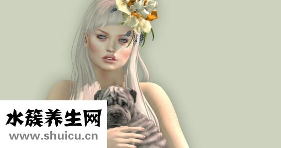 女贞树图片