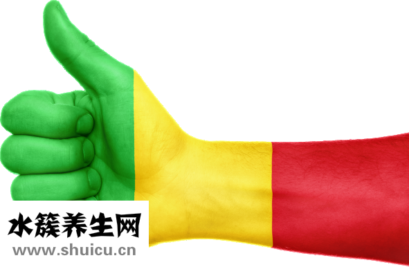 合谷的准确位置图