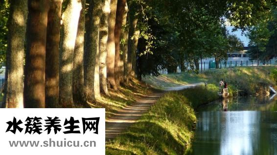 头孢泊肟酯
