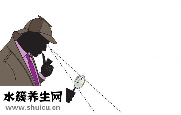 心电图原理