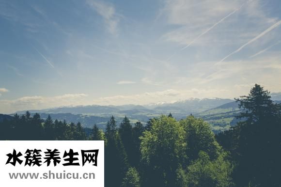 什么人不能吃阿胶