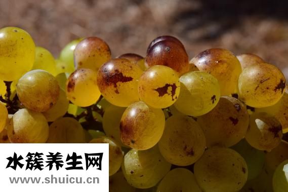 什么是尿毒症