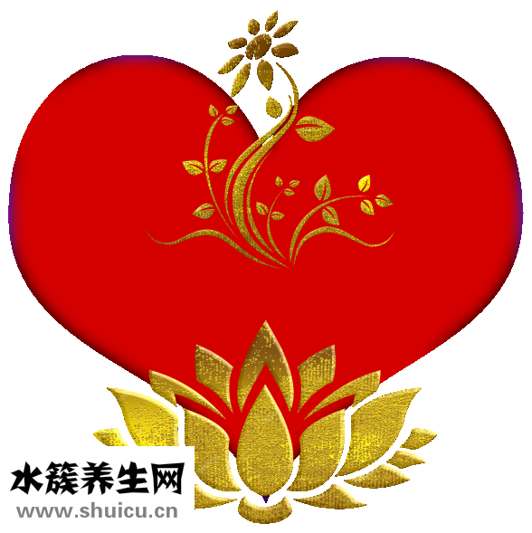 心理控制术