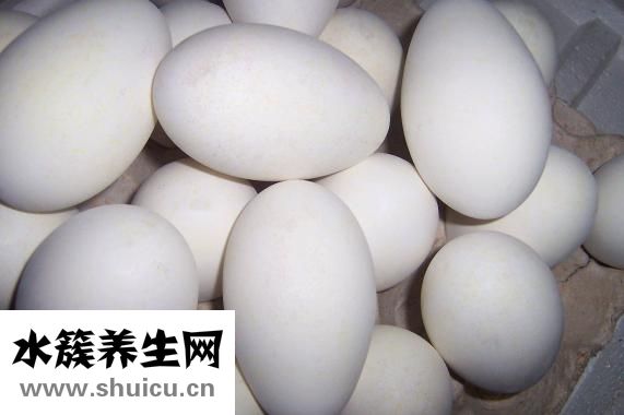 一个鹅蛋的热量