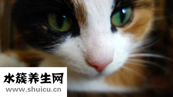 怎么去除双下巴