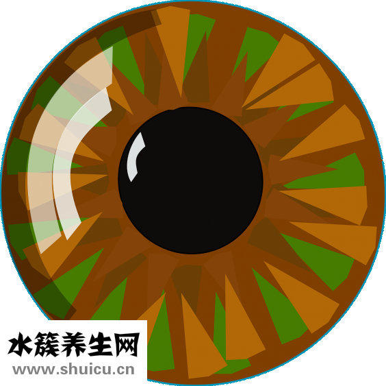 十二指肠淤滞症