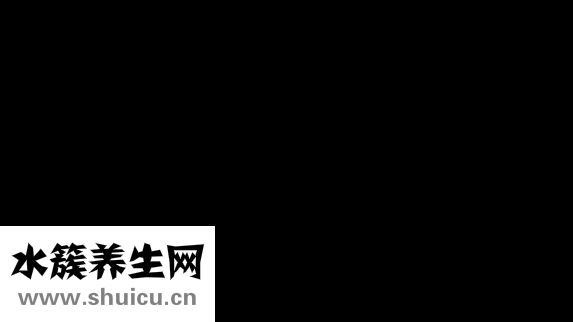 心慌气短吃什么药