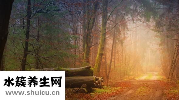 什么人不能吃阿胶
