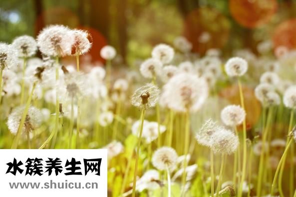 为什么头顶会痛