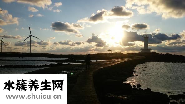什么虾最好吃