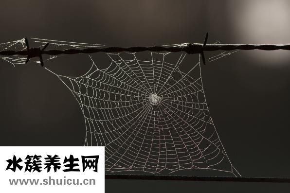 怎么会得艾滋病