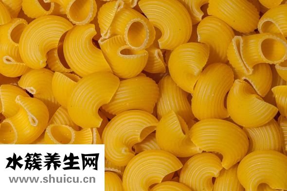 扇贝的营养价值