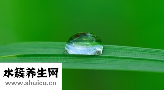 如何紧致脸部皮肤
