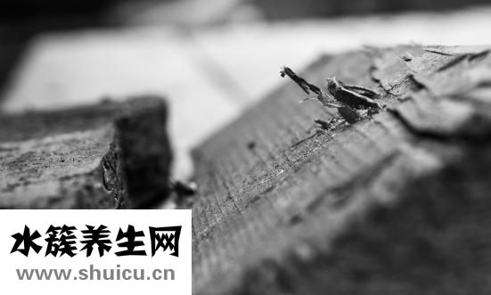 孕妇能吃酸奶吗