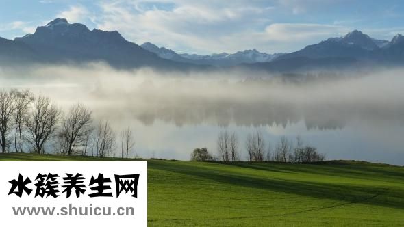 什么新鲜水果是温性的？