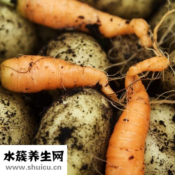 山药炖猪蹄
