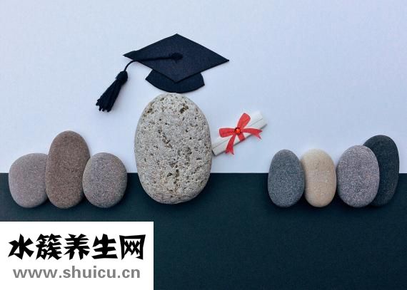什么是养生
