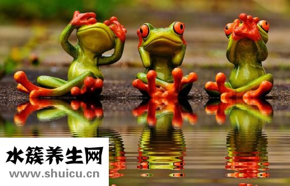 声带息肉，又称气带下段