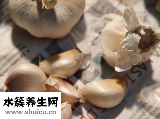 伤寒感冒用什么药