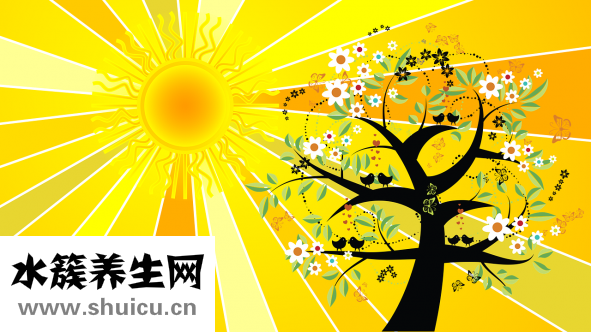 头发打结怎么办