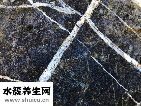 伤寒感冒用什么药