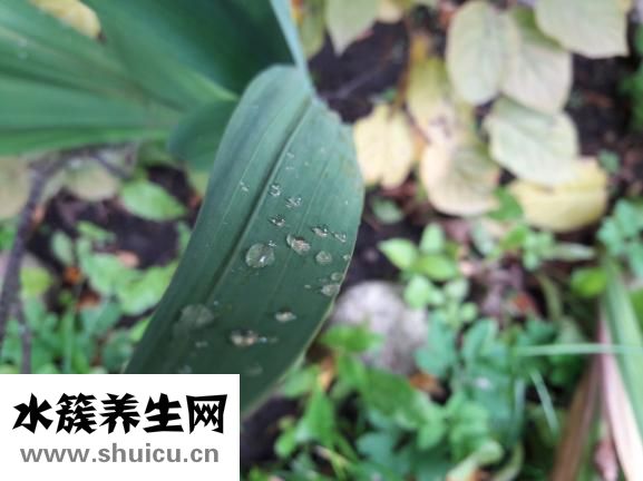 怎么会得艾滋病
