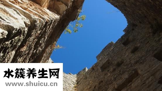 什么是疟疾