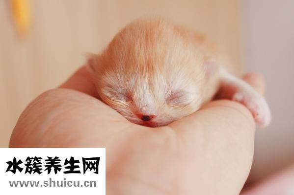 小孩说话比较晚