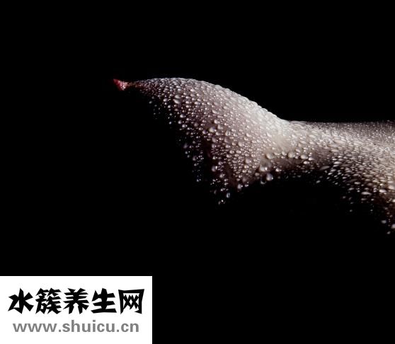 什么是胶原蛋白