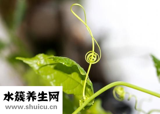 压疮分期四期
