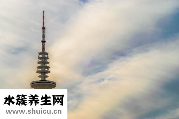 什么是阳虚
