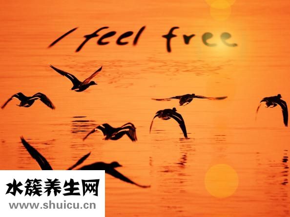 一两米饭的热量