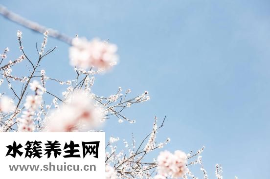 专业祛痘方法