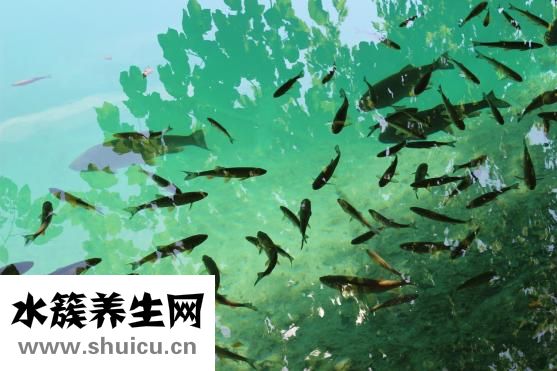 怎样泡药酒