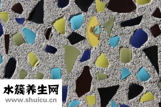 什么是葡萄胎