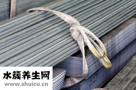 养肝的茶有哪些