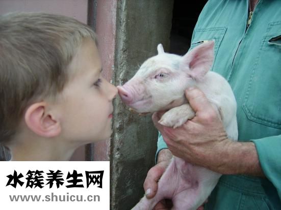岳肥湿白痒