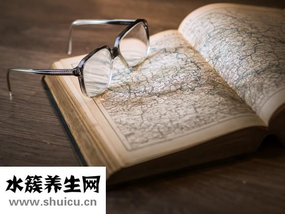 仙人球的作用