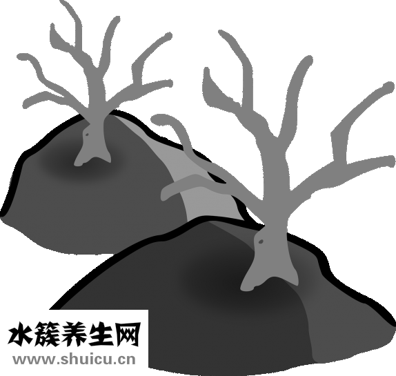晚上饿了吃什么