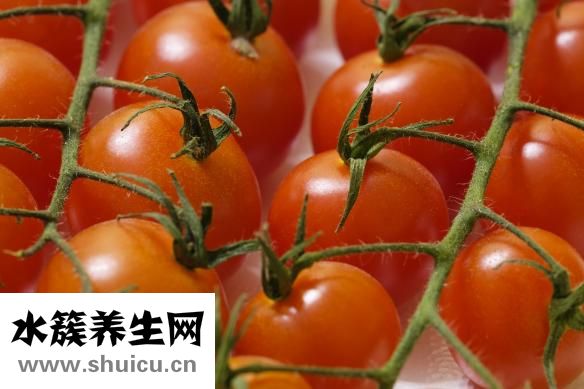 下眼睑皱纹