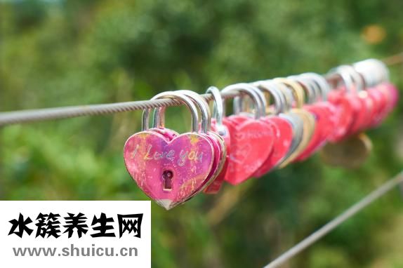 五灵止痛胶囊