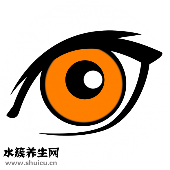 下眼睑皱纹
