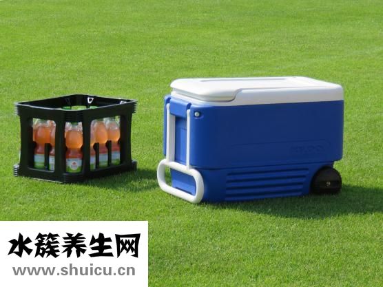 什么是阳虚