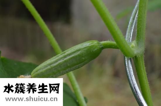 怎么让下面变粉