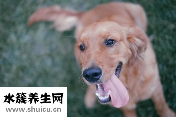喉咙发炎怎么办